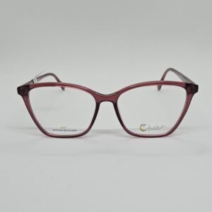 Loup 005C5 frontal Loup 005C5