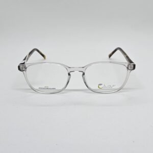 Loup 019C2 frontal Loup 019C2