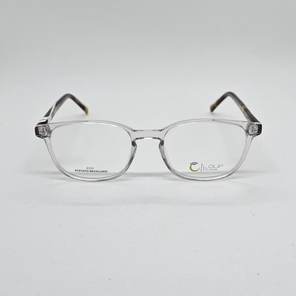 Loup 019C2 frontal Loup 019C2