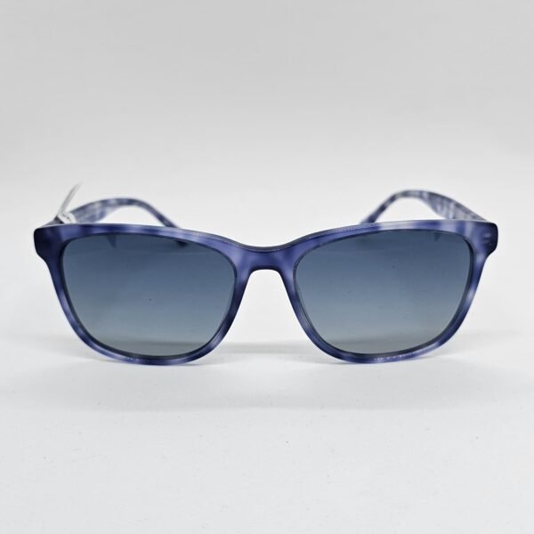 Loup 032C2 frontal Loup 032C2