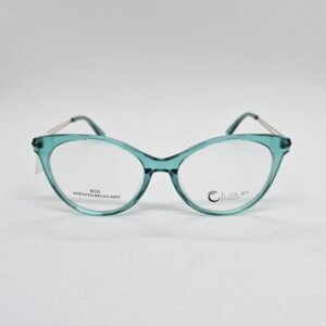 Loup 1005C1 frontal Loup 1005C1