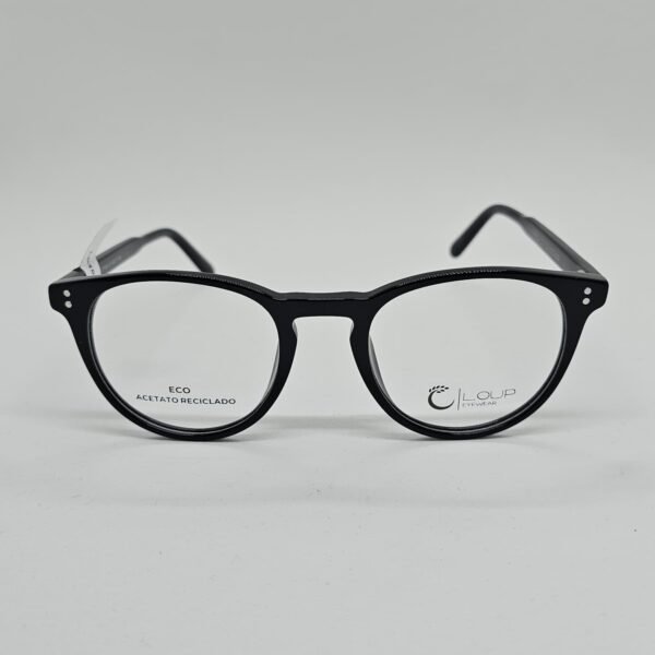 Loup 1008C1 frontal Loup 1008C1