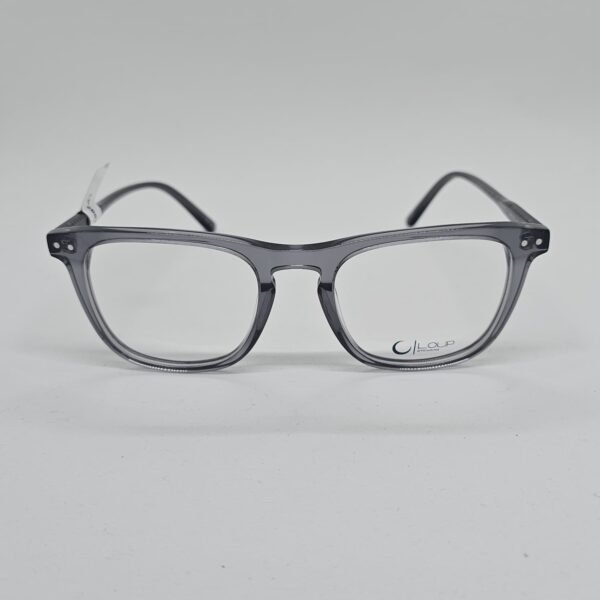 Loup 2002C1 frontal Loup 2002C1