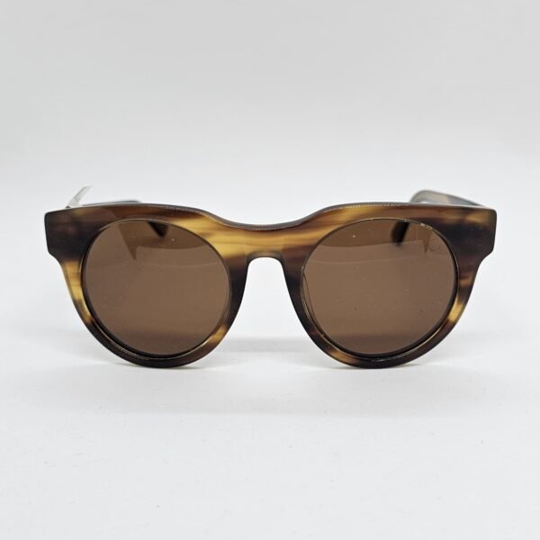 Loup 2006C2 frontal Loup 2006C2