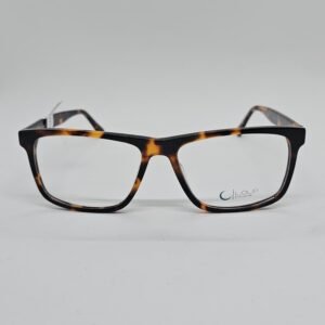 Loup 2102C1 frontal Loup 2102C1