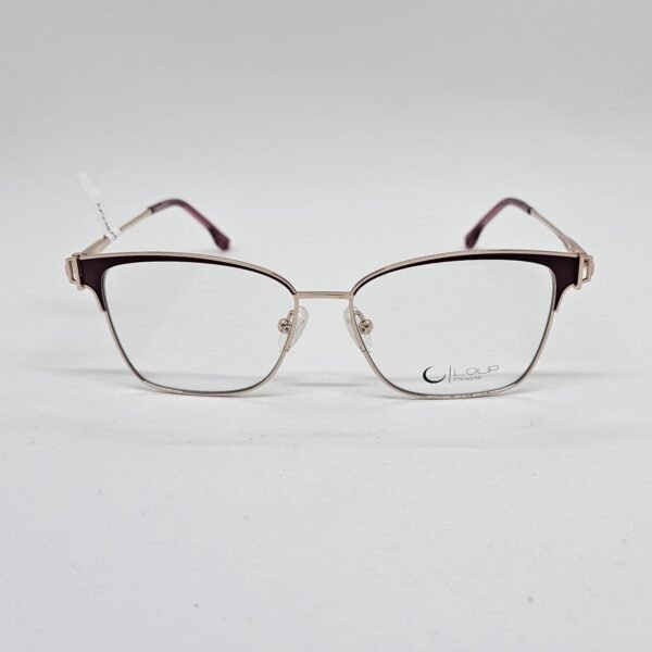 Loup 2402C2 frontal Loup 2402C2