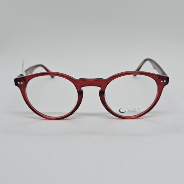 Loup 2413C3 frontal Loup 2413C3