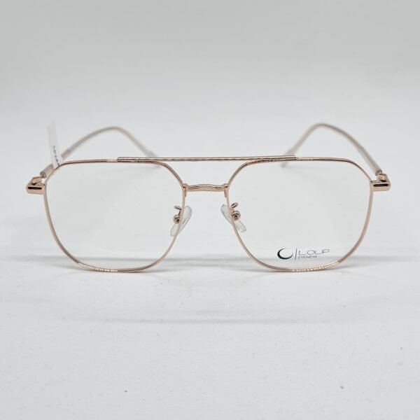 Loup 2448C2 frontal Loup 2448C2