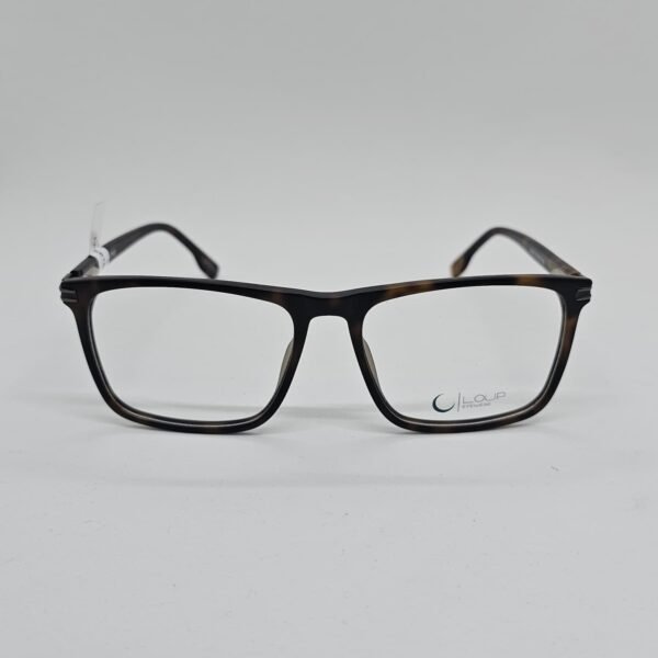 Loup 5010C2 frontal Loup 5010C2