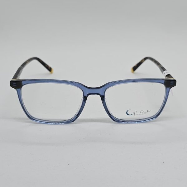 Loup 7911C2 frontal Loup 7911C2