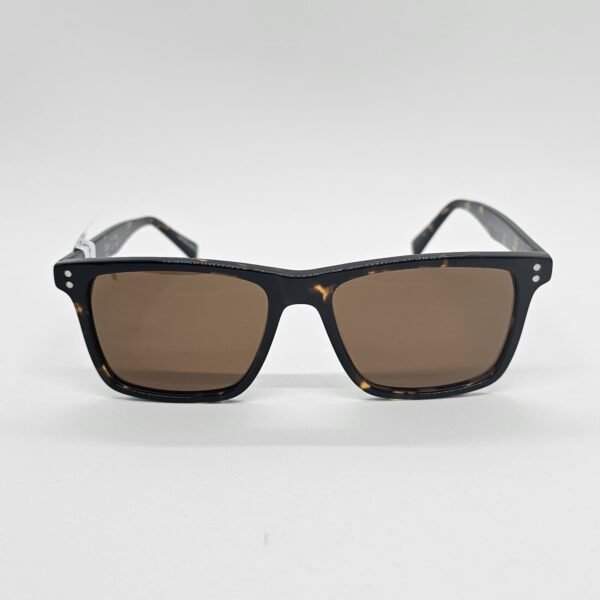 Loup S1316C2 frontal Loup S1316C2