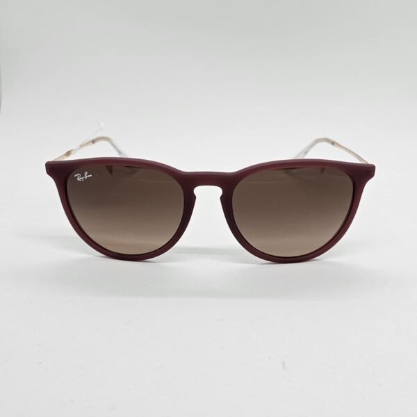 Ray Ban 41716815A554 frontal Ray-Ban RB4171 Erika 6815/A5 54mm - Lentes de Sol