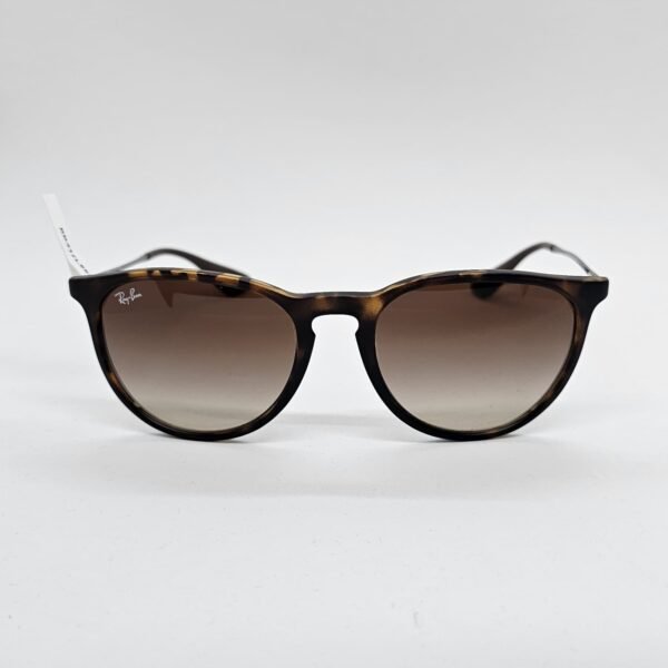 Ray Ban 4171L8651354 frontal Ray-Ban RB4171 Erika L865/12 54mm - Lentes de Sol