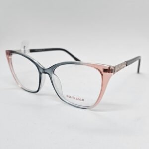 PR France R6131C3 sin PR France R6131C3